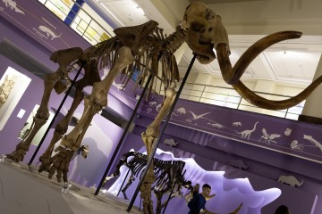 Симфония Ямала