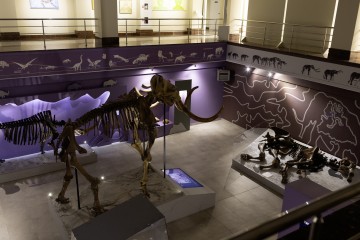 Симфония Ямала